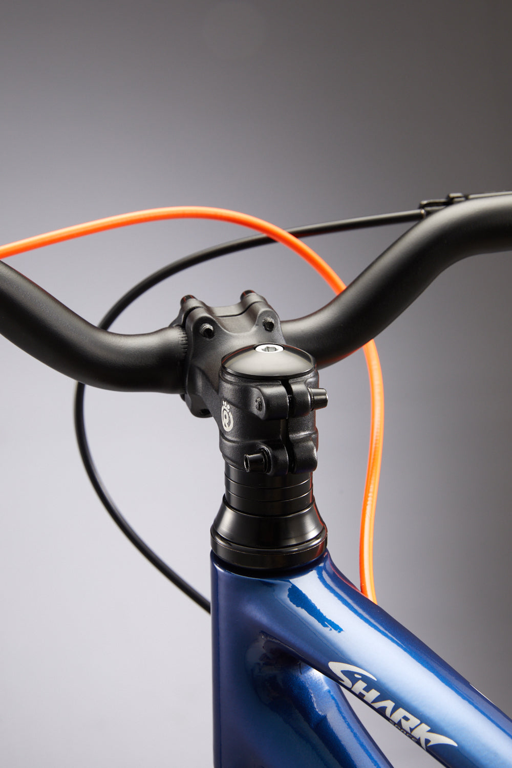 RoyalBaby EZ Space Shark 18"