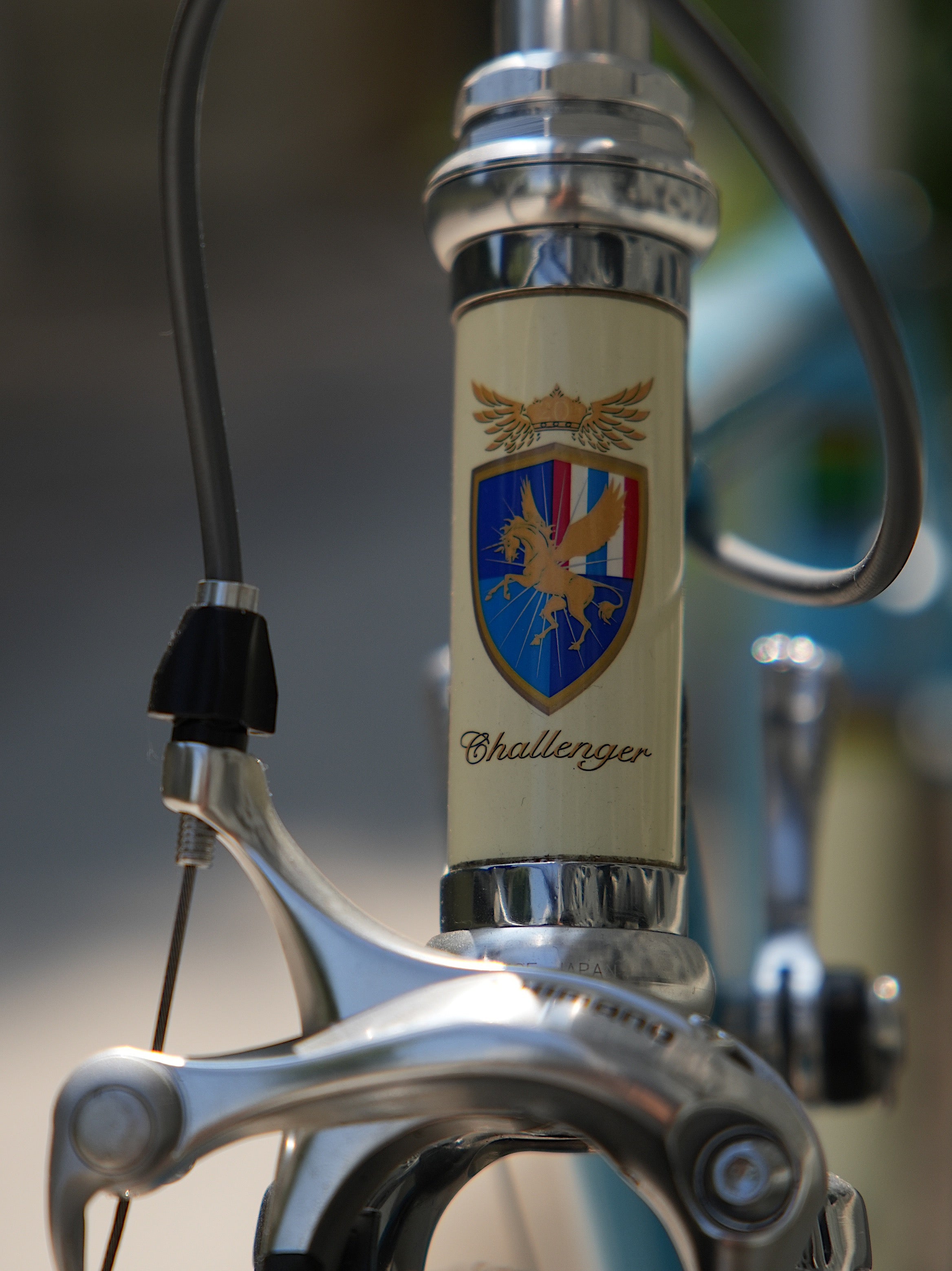 Challenger 20TH Aniversary Vintage Road Bike