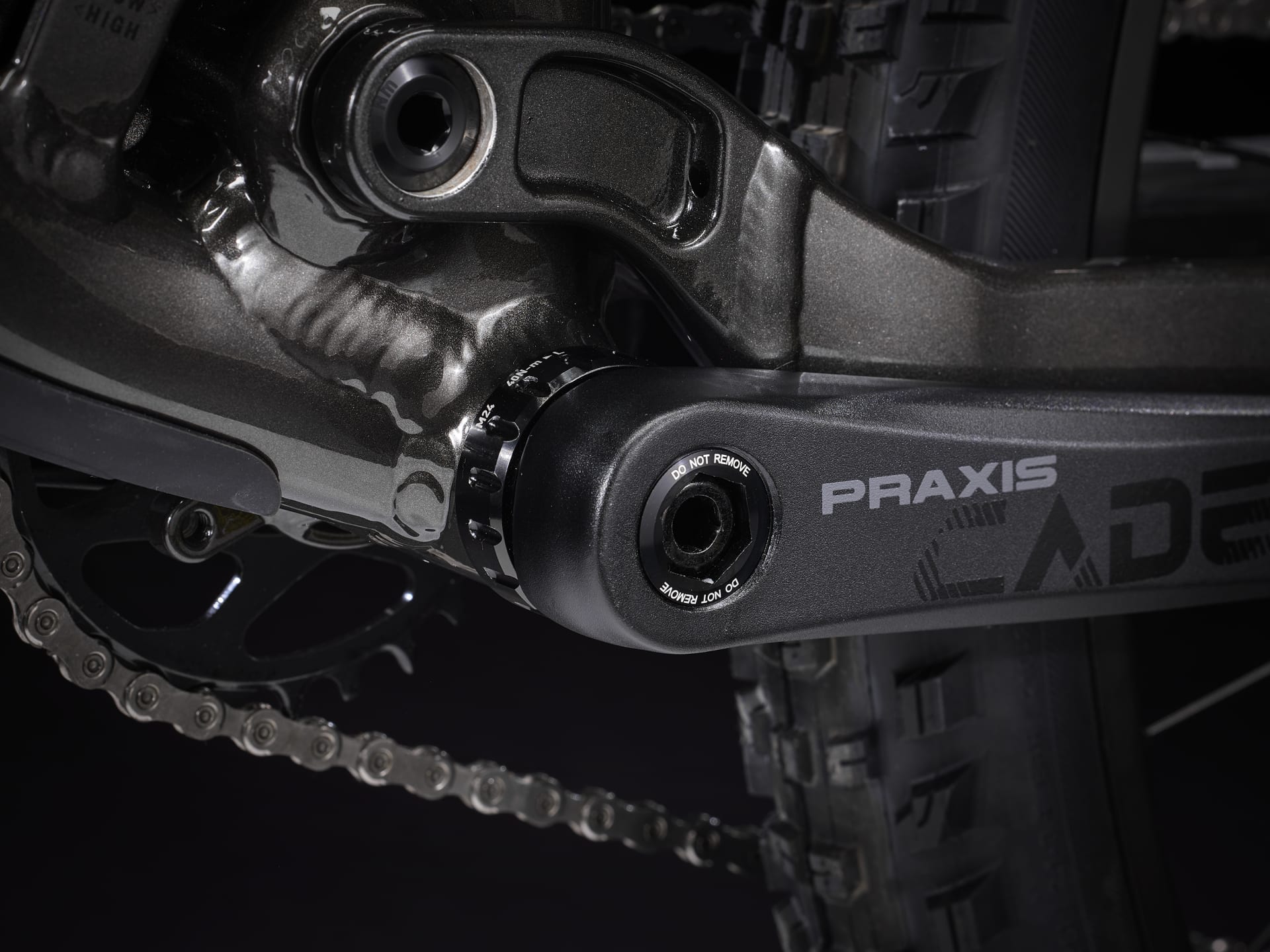 #color_Pennyflake to Dnister Black Fade