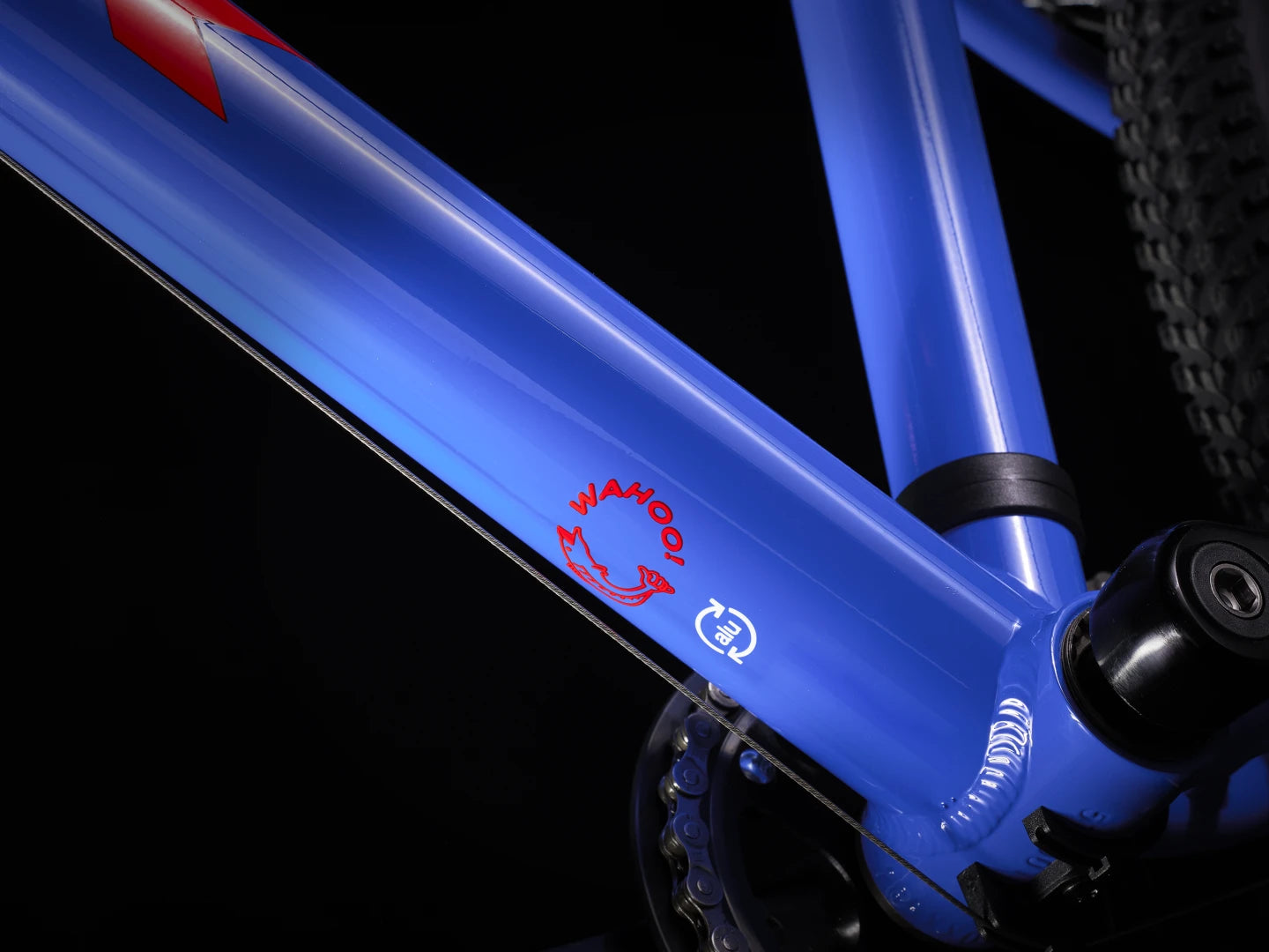 #color_Royal Blue