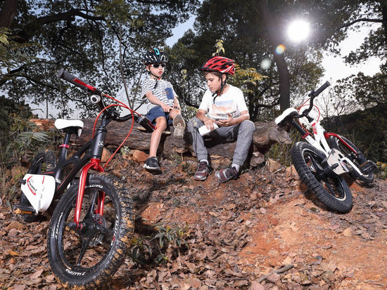 RoyalBaby SPACE SHUTTLE 16IN