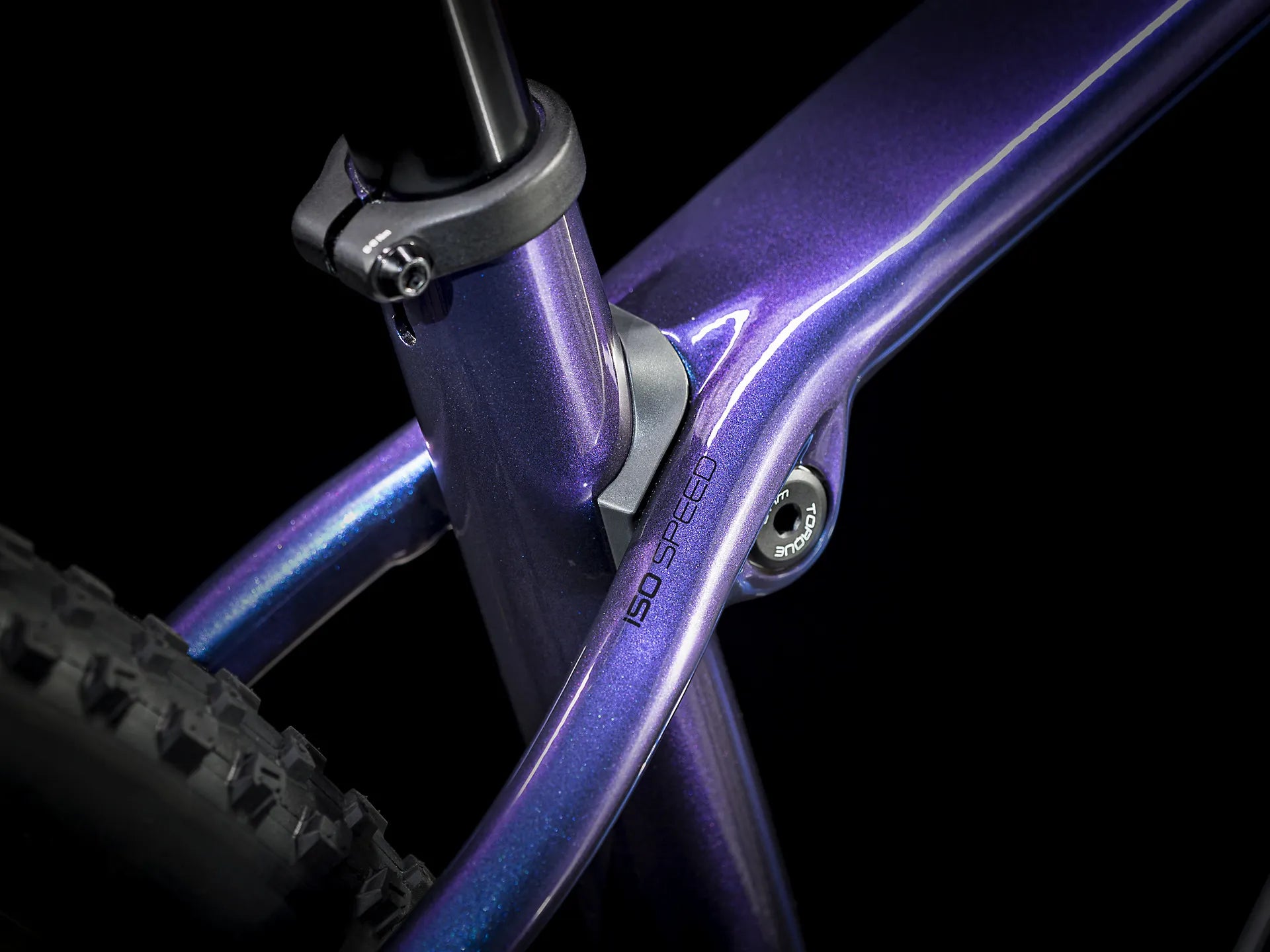 #color_PURPLE PHAZE