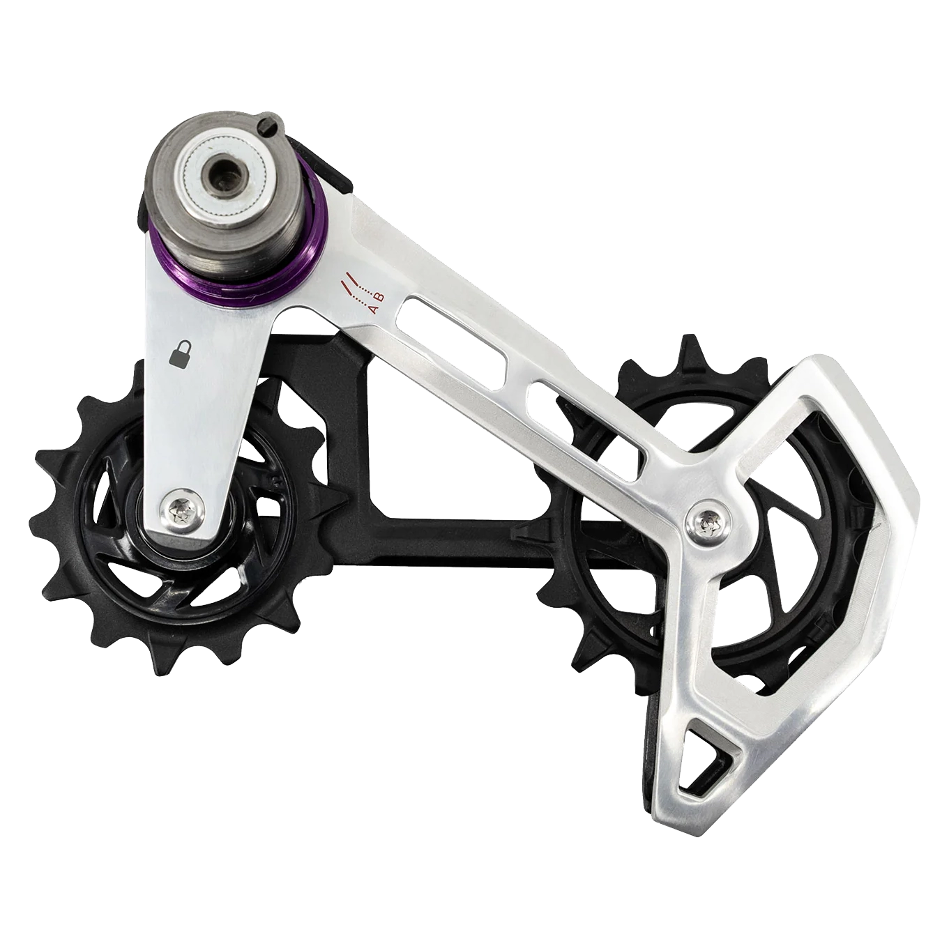 SRAM Cage Assembly Kit for XX Eagle AXS Rear Derailleur B1