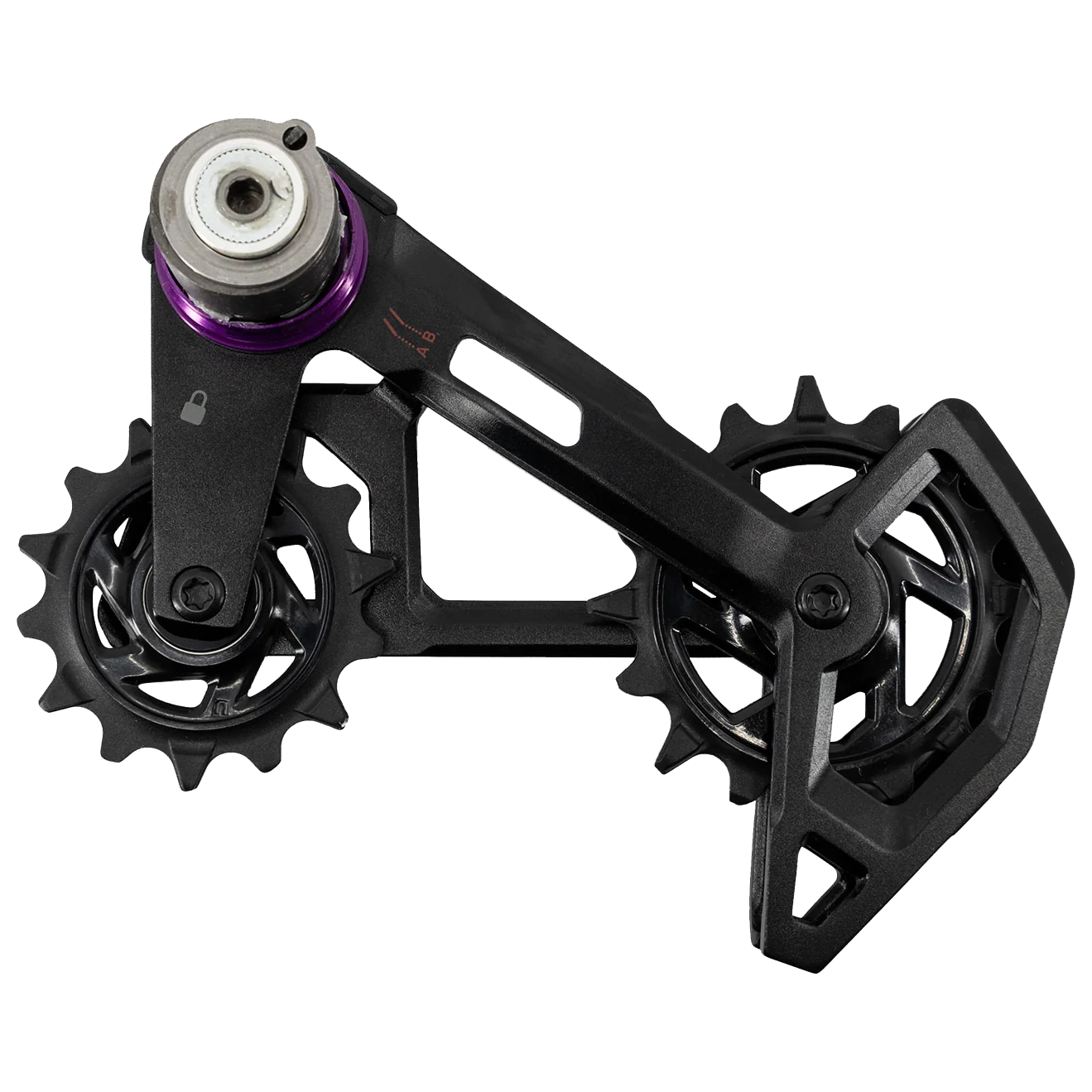 SRAM Cage Assembly Kit for X0 Eagle AXS Rear Derailleur B1