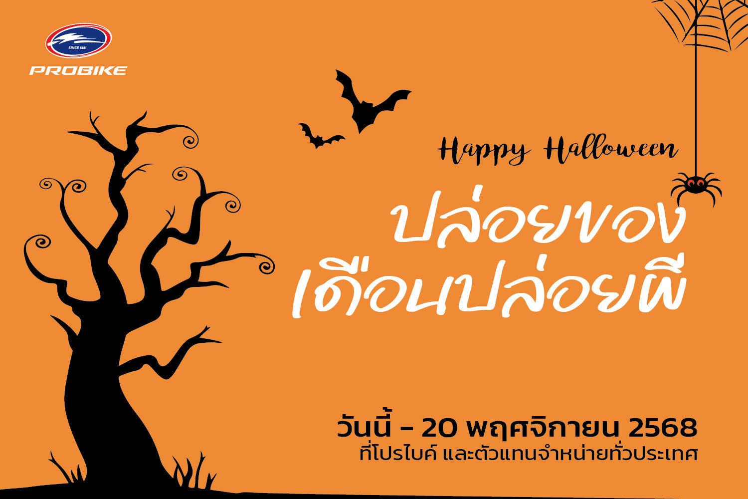 Promotion Halloween 2025