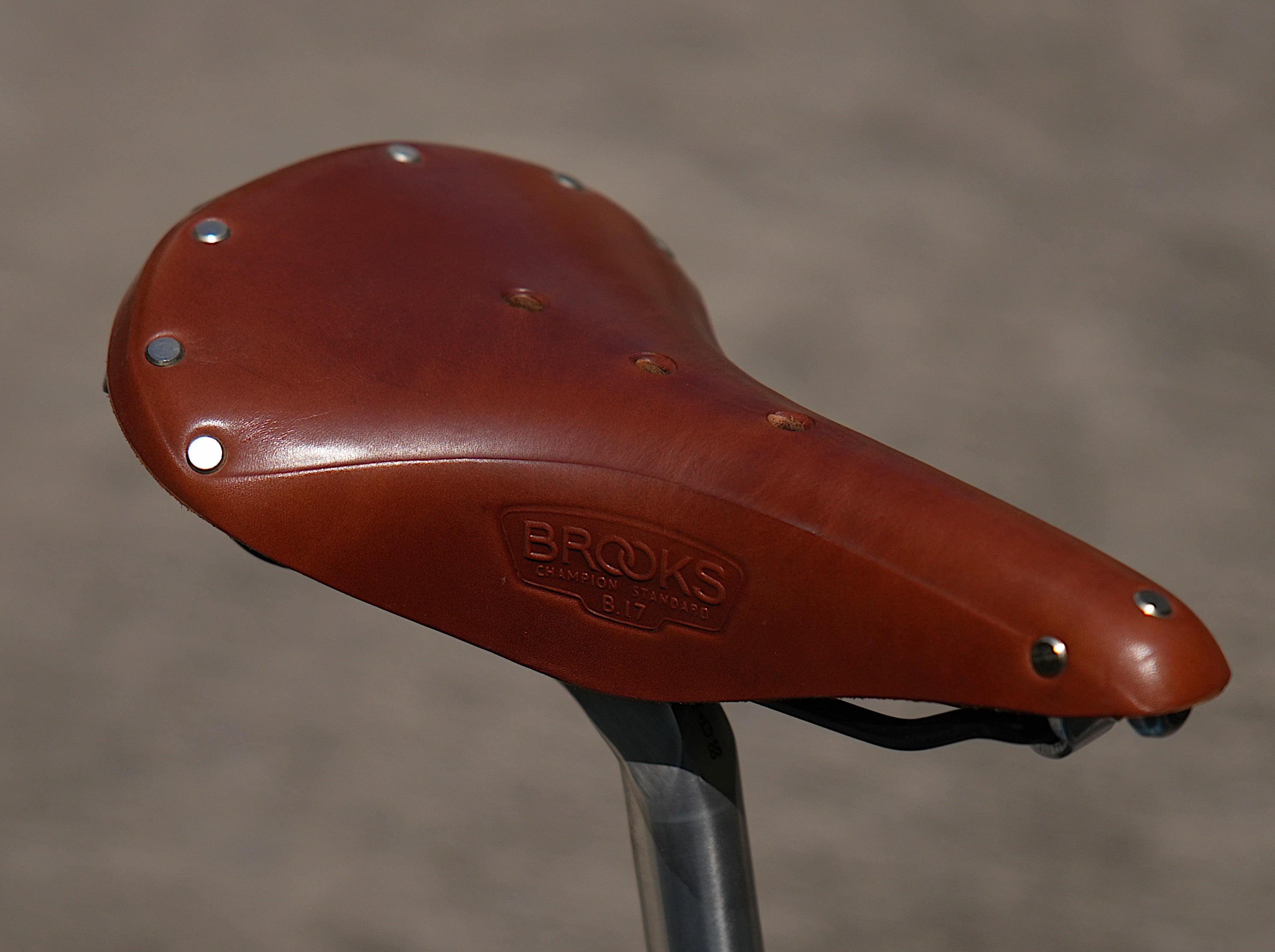 Challenger 20TH Aniversary Vintage Road Bike