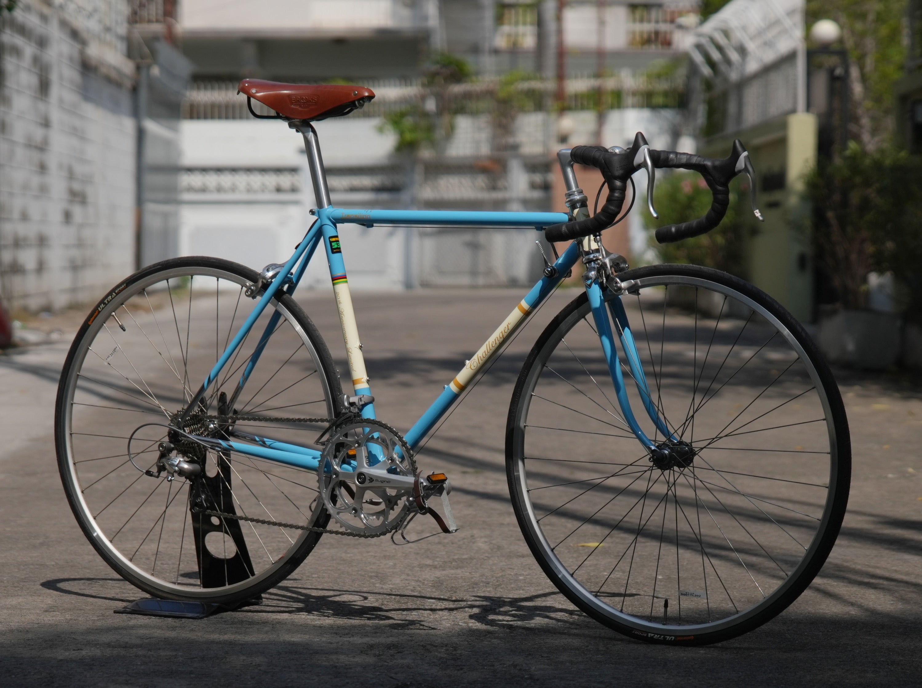 Challenger 20TH Aniversary Vintage Road Bike
