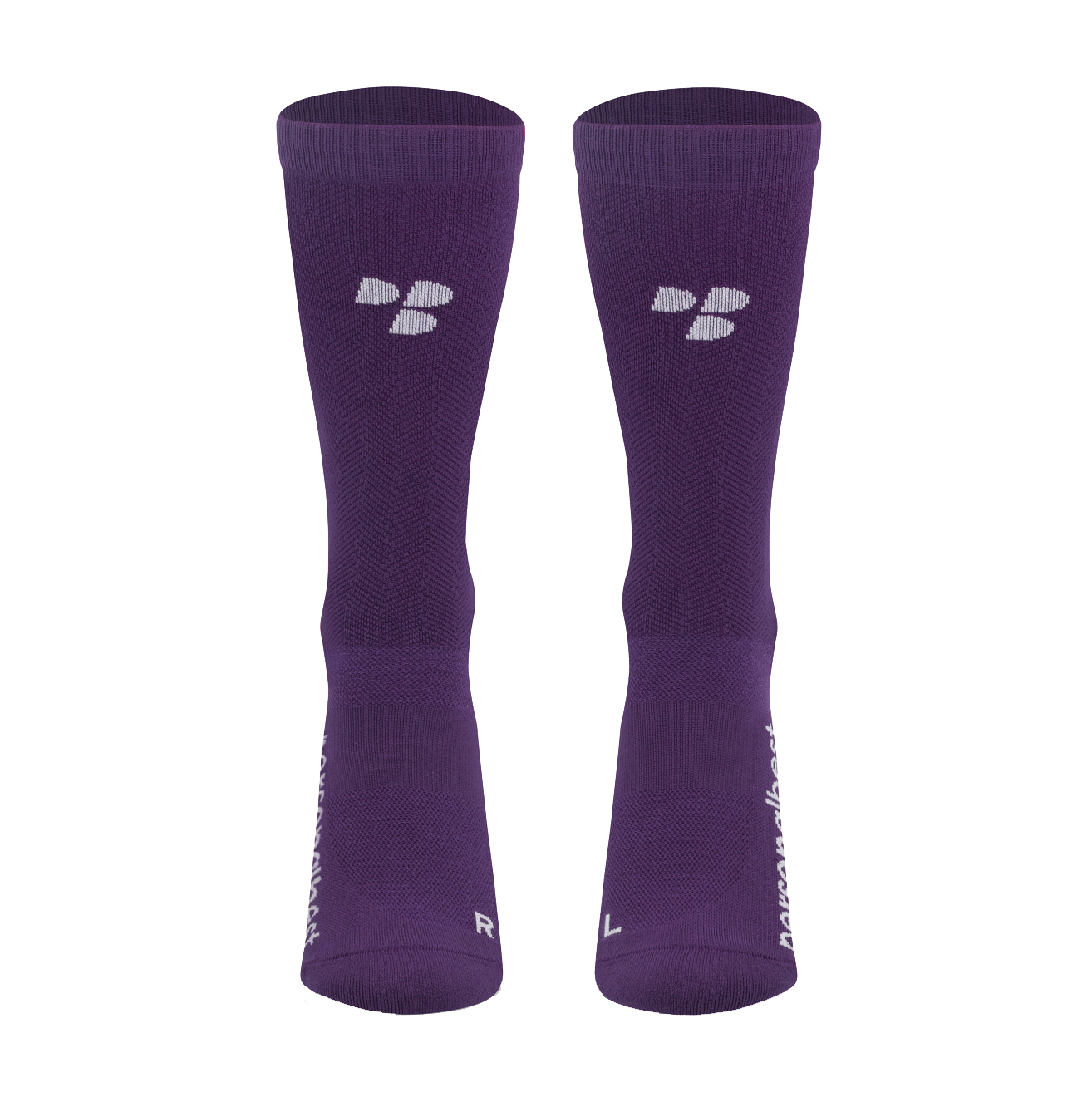 #color_Violet