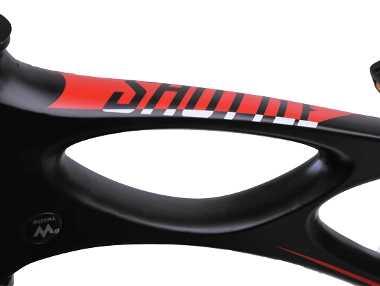 RoyalBaby SPACE SHUTTLE 16IN