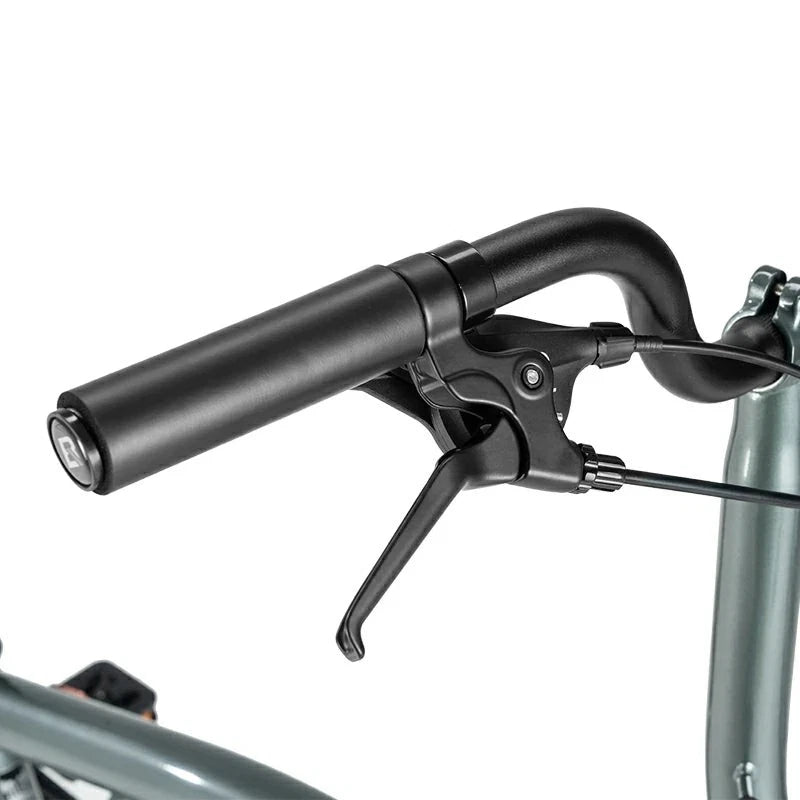 ROCKBROS HRS 16 inch Folding Bike