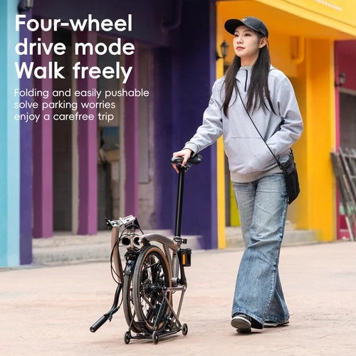 ROCKBROS HRS 16 inch Folding Bike