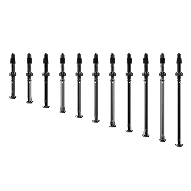 SRAM TyreWiz 2.0 Valve Stem Pack